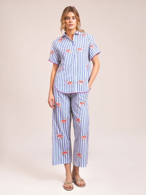 Fennel Pants Donkey on Blue Stripes