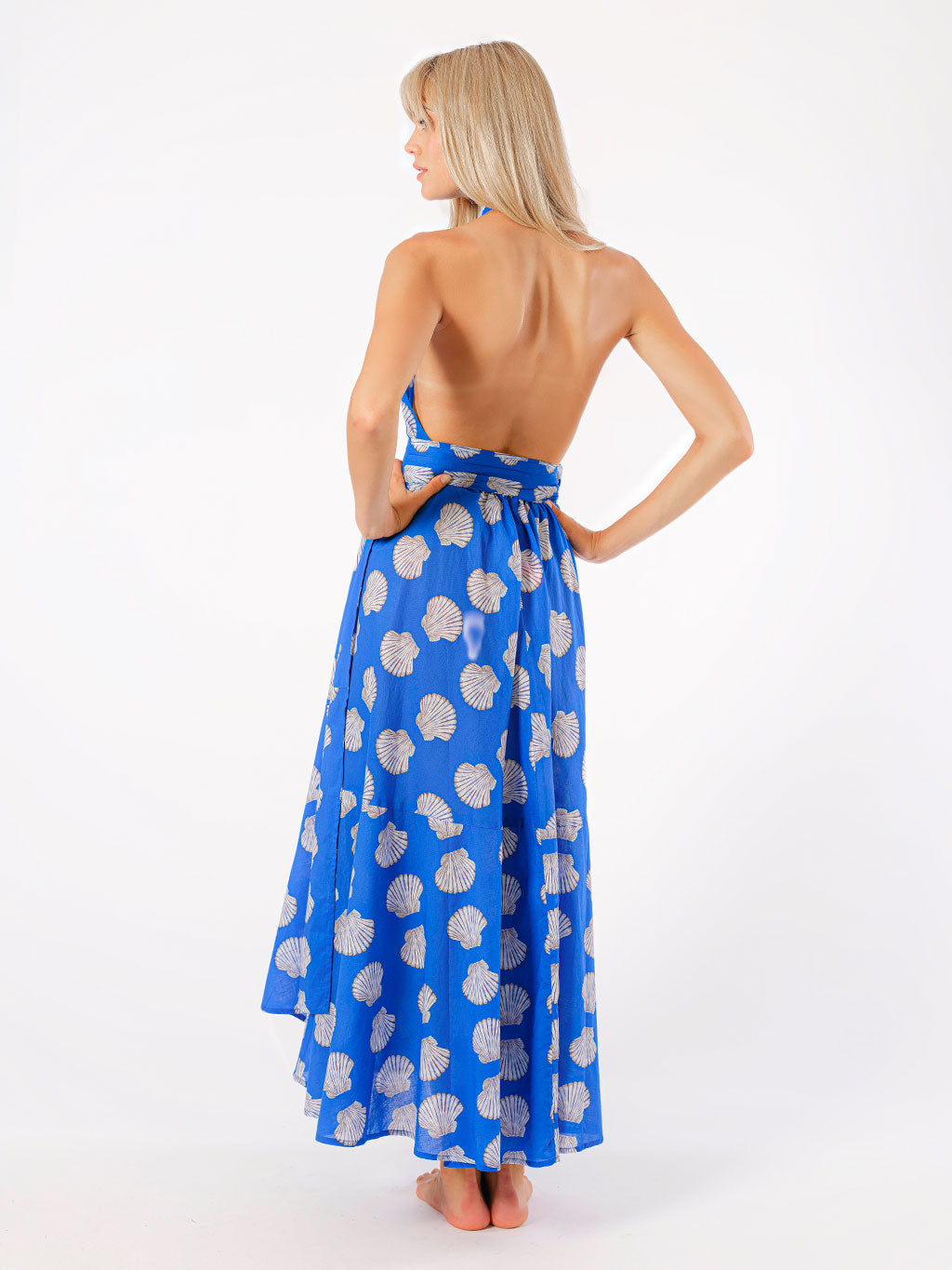 Hops Dress Shells on Blue