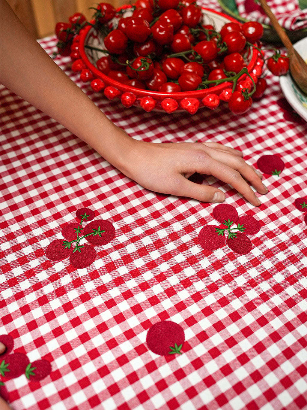 Close-up of intricate hand-guided embroidery on a premium red and white checkered organic cotton fabric.